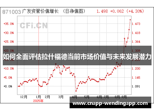 如何全面评估拉什福德当前市场价值与未来发展潜力 如何全面评估拉什福德当前市场价值与未来发展潜力