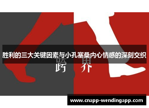胜利的三大关键因素与小孔塞桑内心情感的深刻交织 胜利的三大关键因素与小孔塞桑内心情感的深刻交织