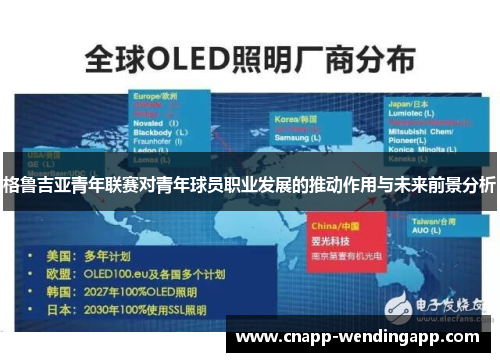 格鲁吉亚青年联赛对青年球员职业发展的推动作用与未来前景分析 格鲁吉亚青年联赛对青年球员职业发展的推动作用与未来前景分析