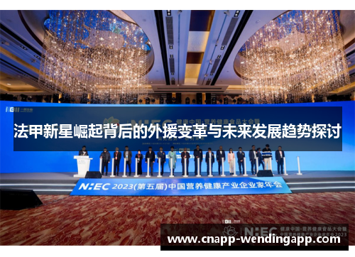 法甲新星崛起背后的外援变革与未来发展趋势探讨