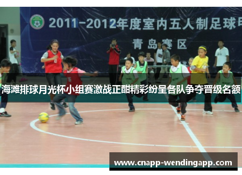 海滩排球月光杯小组赛激战正酣精彩纷呈各队争夺晋级名额 海滩排球月光杯小组赛激战正酣精彩纷呈各队争夺晋级名额