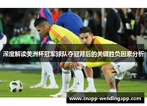 深度解读美洲杯冠军球队夺冠背后的关键胜负因素分析 深度解读美洲杯冠军球队夺冠背后的关键胜负因素分析