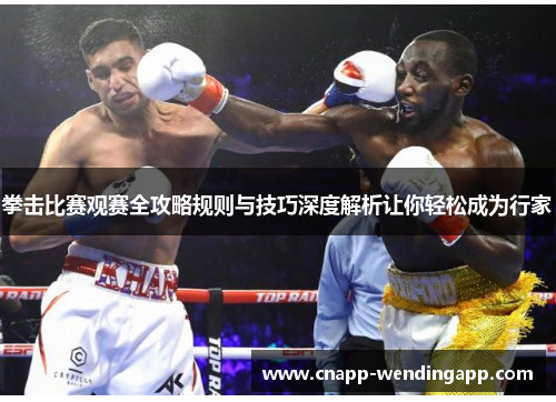 拳击比赛观赛全攻略规则与技巧深度解析让你轻松成为行家