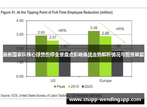 最新国家队核心球员伤停全景盘点影响备战走势解析情况与前景展望