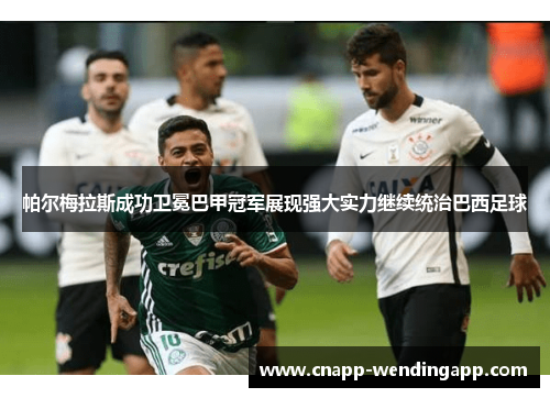 帕尔梅拉斯成功卫冕巴甲冠军展现强大实力继续统治巴西足球 帕尔梅拉斯成功卫冕巴甲冠军展现强大实力继续统治巴西足球